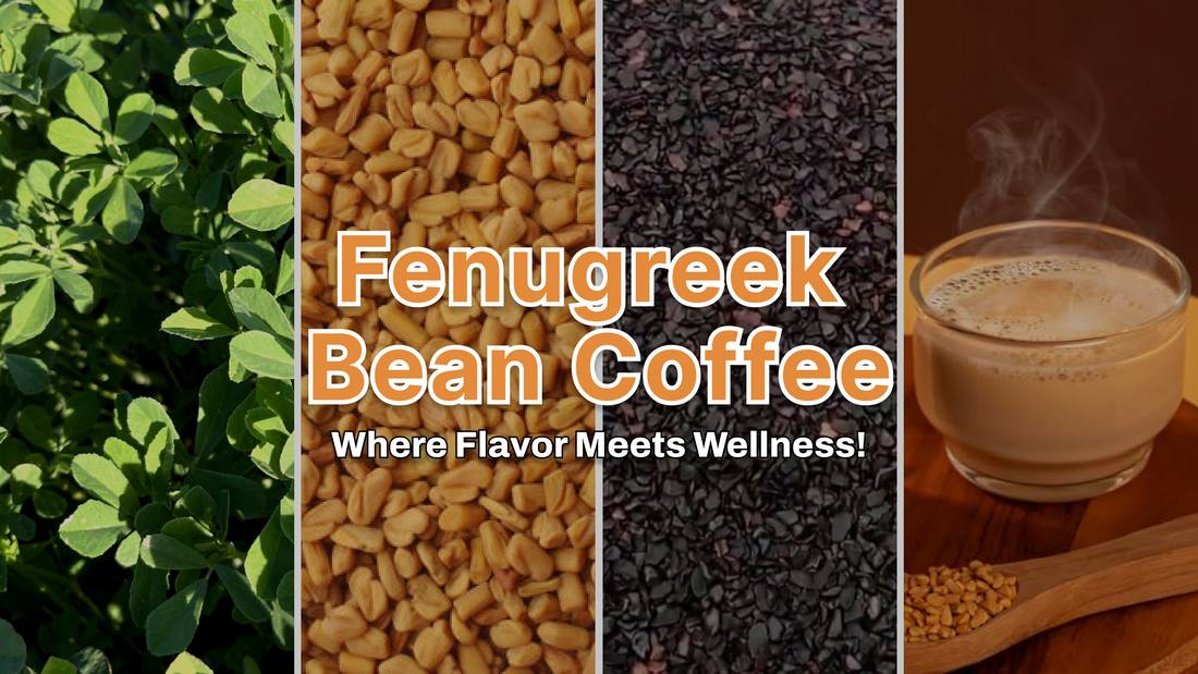 “From Tradition to Innovation – The Fenugrey Coffee Journey.”