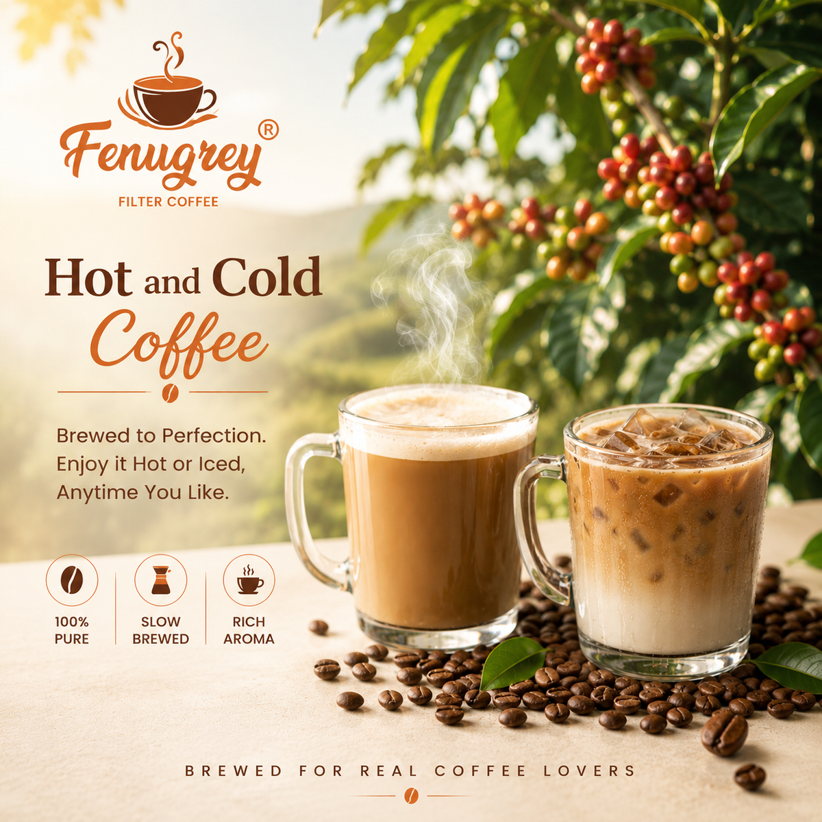70% Arabica 30% Robusta Blend Beans (500gm)